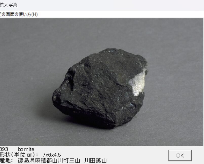 斑銅鉱　徳島県麻植郡山川町三山　川田鉱山 出典：本邦鉱物標本